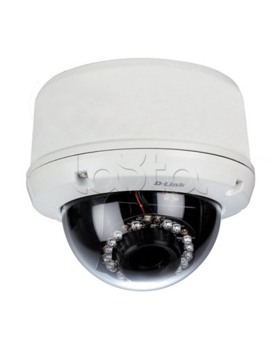 IP-камера видеонаблюдения уличная купольная D-Link DCS-6510/EP в Кургане IP-камеры Pintop.ru