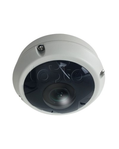 IP-камера видеонаблюдения купольная EverFocus ACE-KU89F в Кургане IP-камеры Pintop.ru