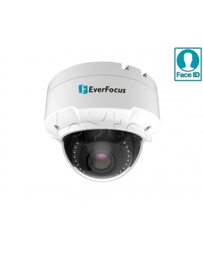 IP-камера видеонаблюдения купольная EverFocus EHN-2550 в Кургане IP-камеры Pintop.ru